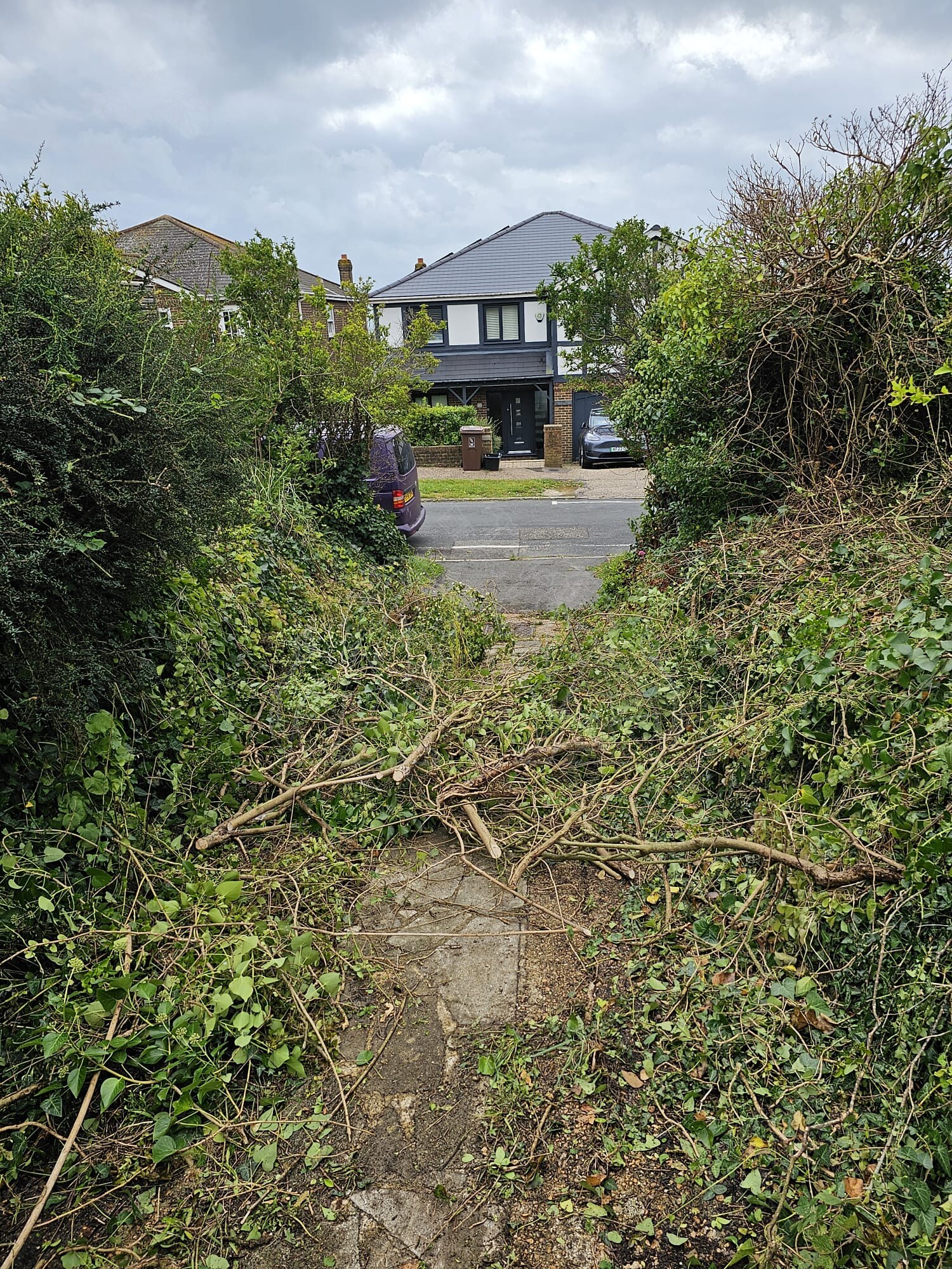 Site clearance before works