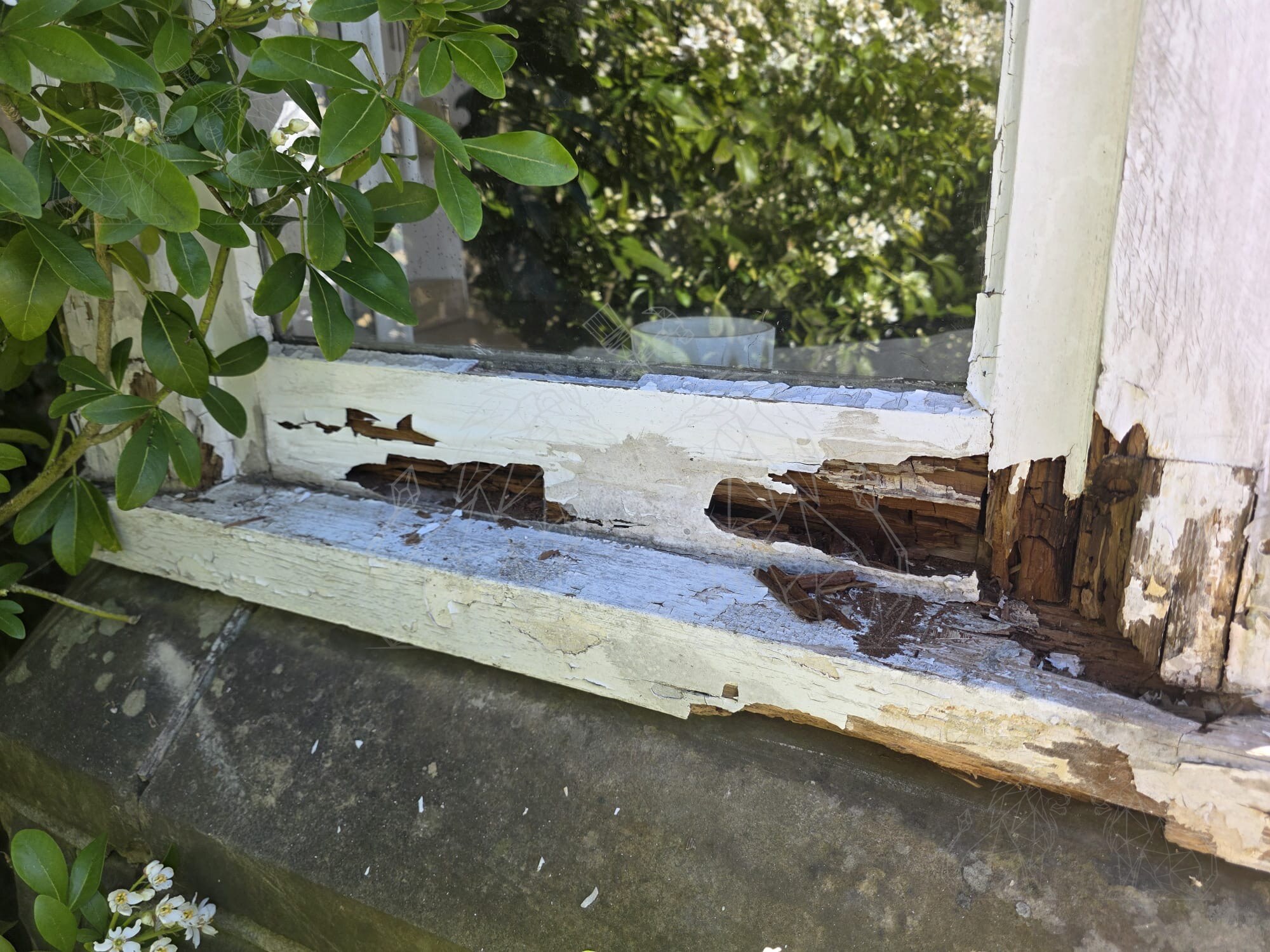 Extensive timber decay assessment