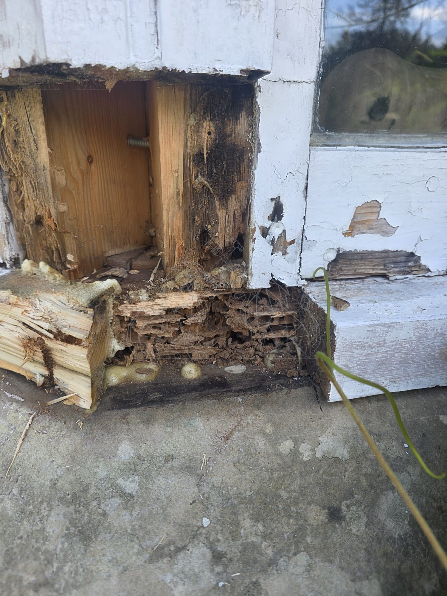 Removal of decayed timber